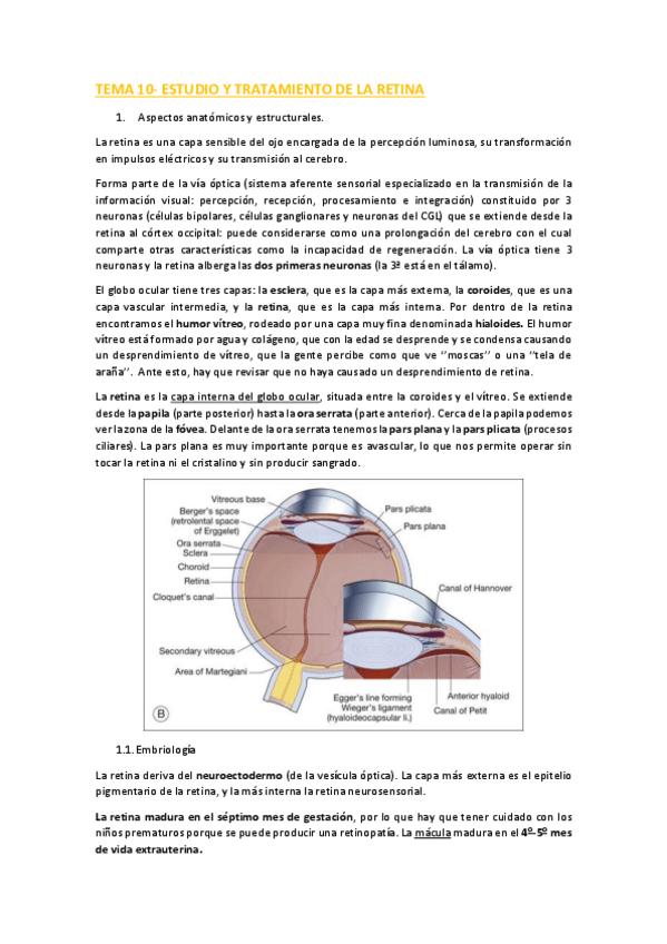 Miniatura del documento TEMA-10.pdf
