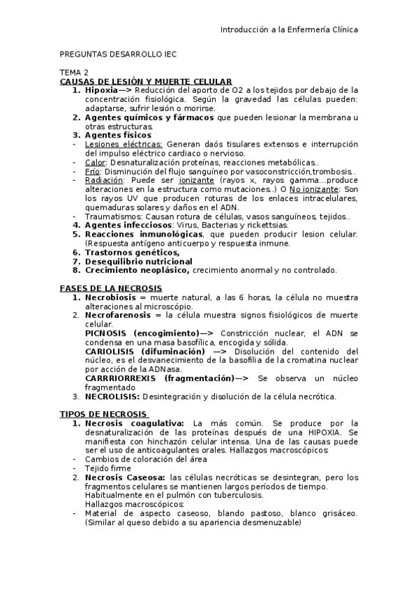 Miniatura del documento DESARROLLO-IEC.docx