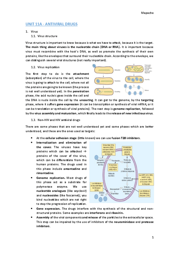 Miniatura del documento UNIT-11.pdf