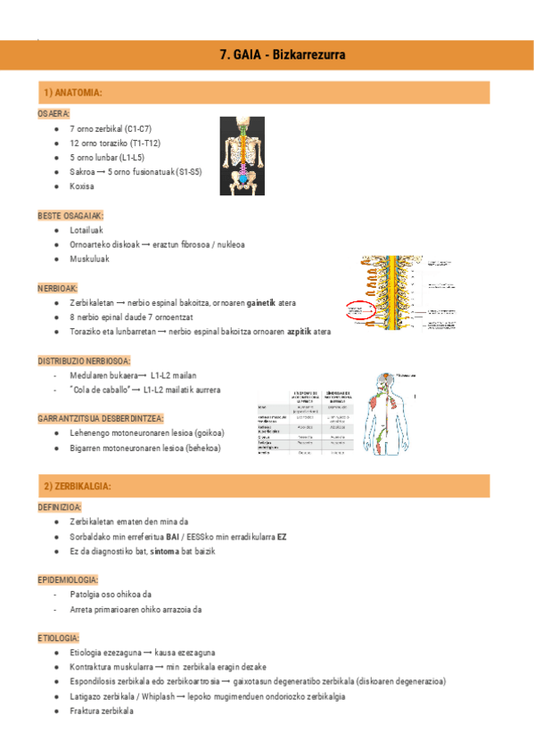Miniatura del documento 7.GAIA-Bizkarrezurra-Documentos-de-Google.pdf