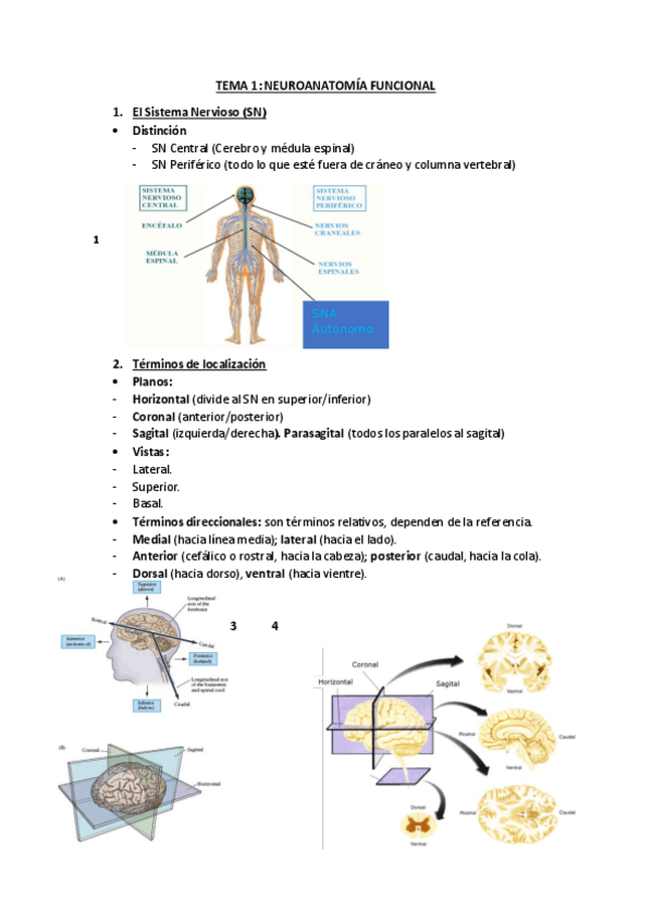 Miniatura del documento Todo.pdf