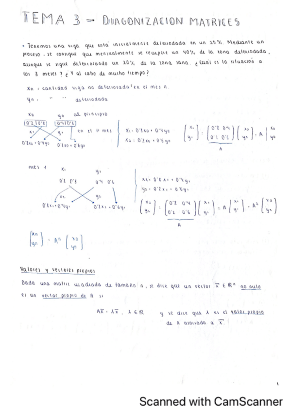 Miniatura del documento T3-Diagonalizacion-de-matrices.pdf