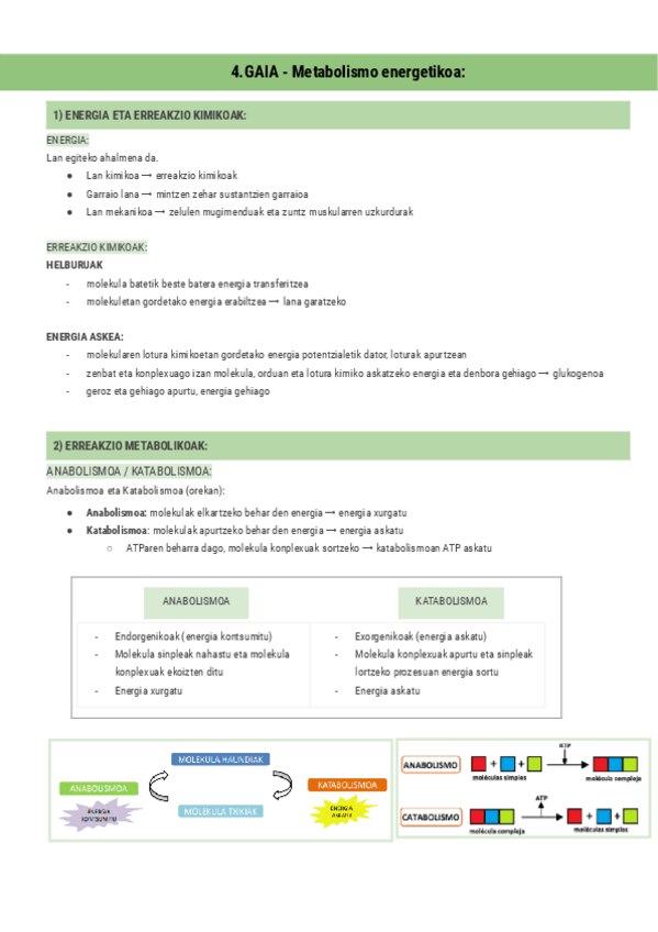Miniatura del documento 4.GAIA-Metabolismo-energetikoa-Documentos-de-Google.pdf
