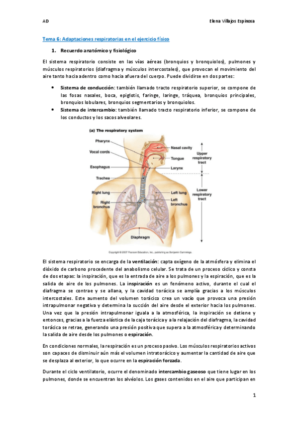 Miniatura del documento wuolahTema 6.pdf