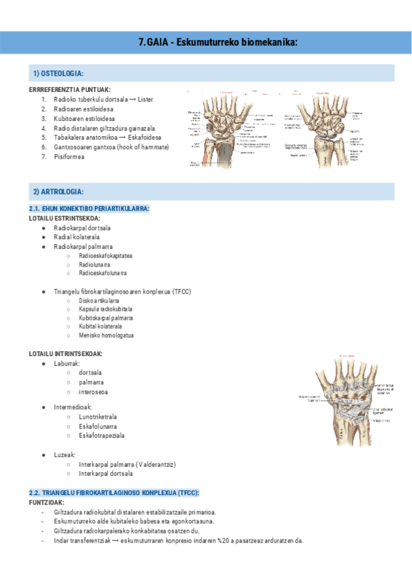 Miniatura del documento 7.GAIA-Eskumuturreko-biomekanika-Documentos-de-Google.pdf