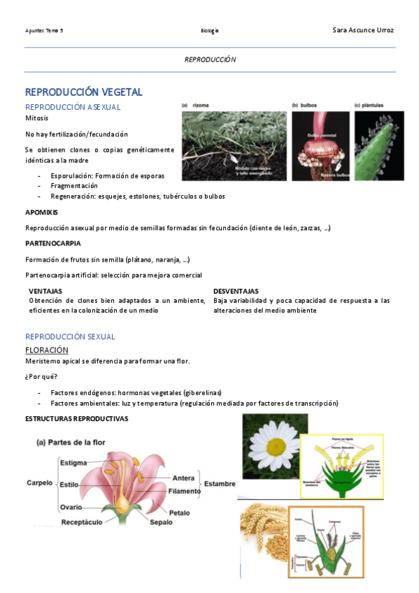 Miniatura del documento Apuntes-Tema-5-Parte-3.pdf