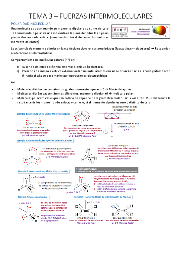 Miniatura del documento 3Fuerzas-Apuntes.pdf