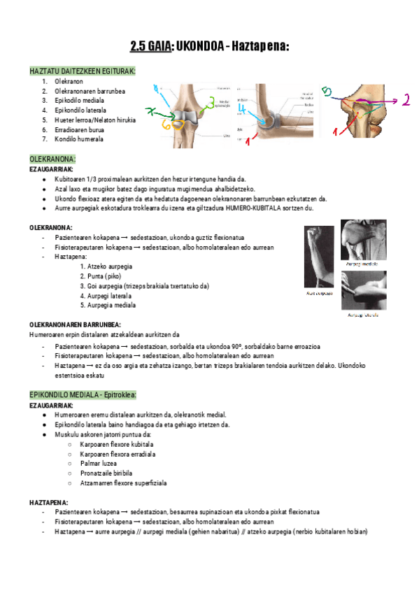 Miniatura del documento 2.5.-UKONDOA-Haztapena-Documentos-de-Google.pdf