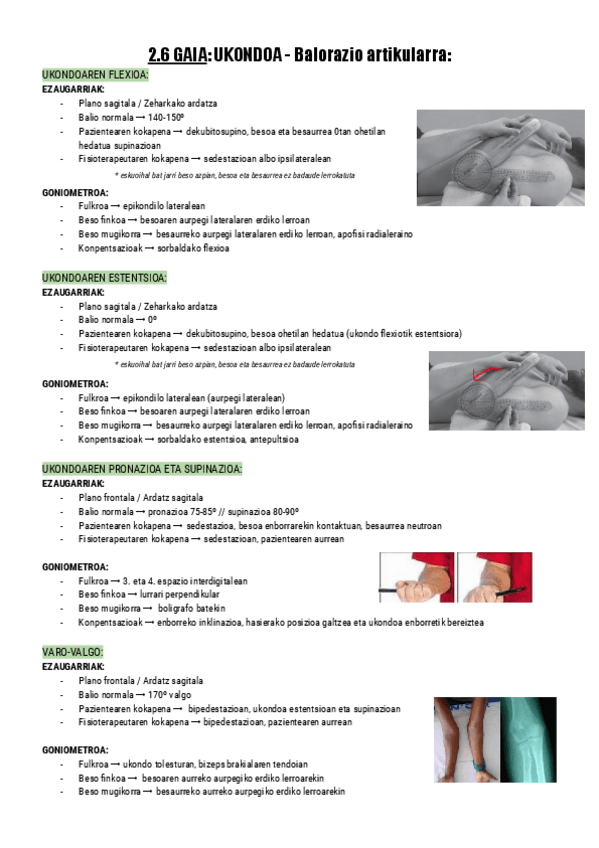 Miniatura del documento 2.6.-UKONDOA-Balorazio-artikularra-Documentos-de-Google.pdf