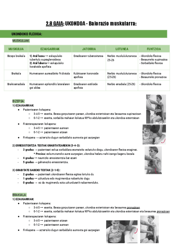 Miniatura del documento 2.8.-UKONDOA-Balorazio-muskularra-Documentos-de-Google.pdf