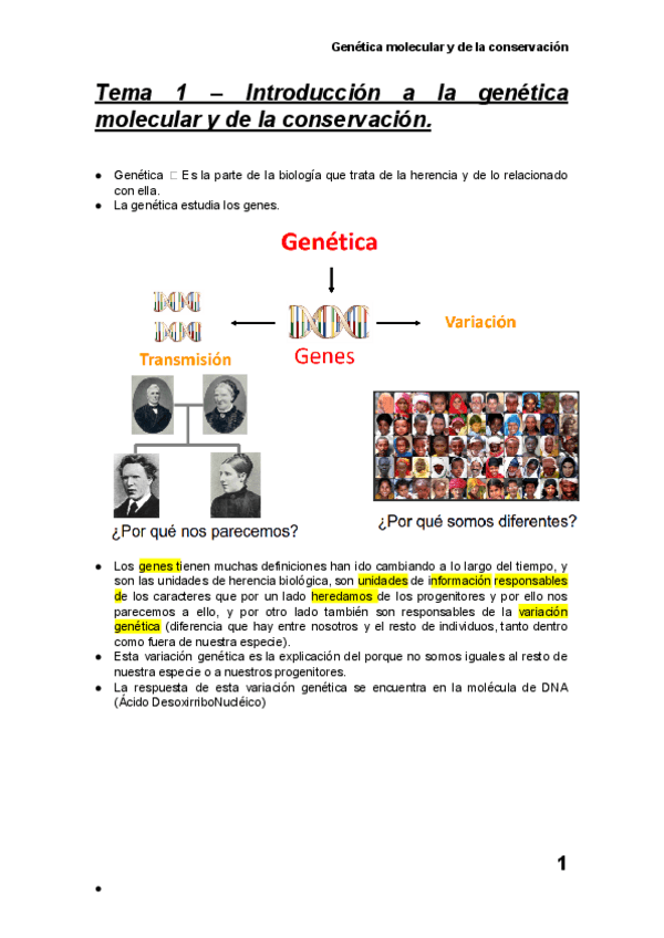 Miniatura del documento Tema-1-Introduccion-a-la-genetica-molecular-y-de-la-conservacion..pdf