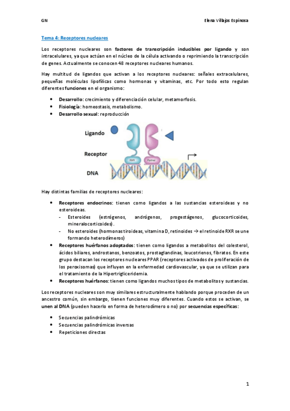 Miniatura del documento wuolahTema 4.pdf