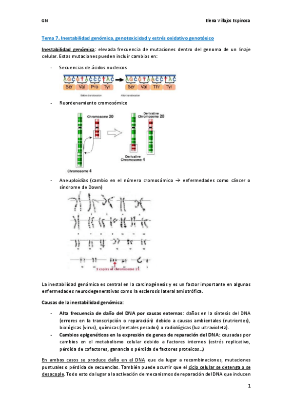 Miniatura del documento wuolahTema 7.pdf
