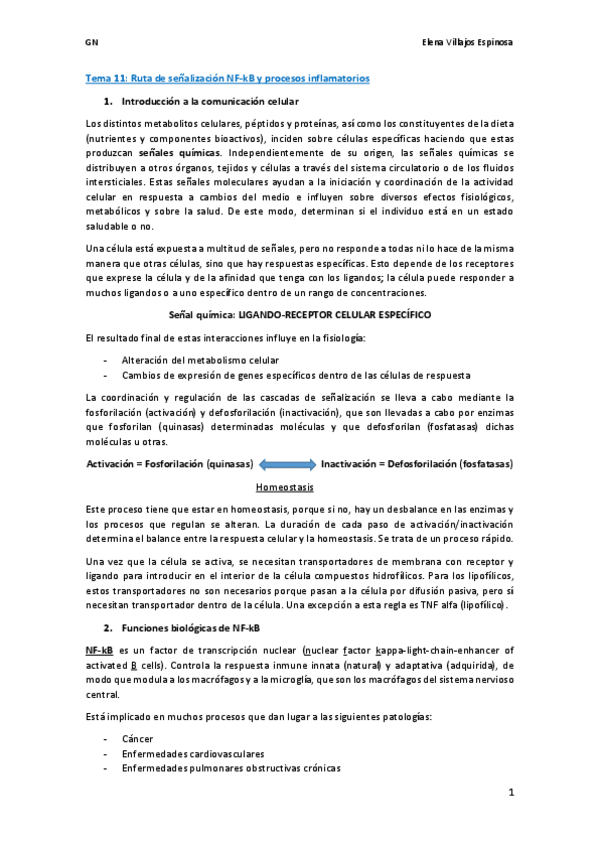 Miniatura del documento wuolahTema 11. Ruta de señalización NF-kB.pdf