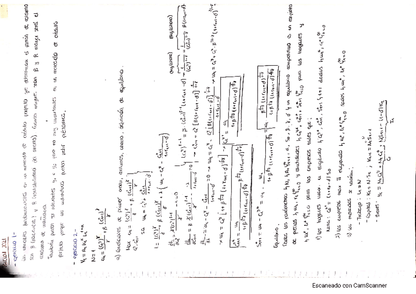 Miniatura del documento parcial-2021.pdf