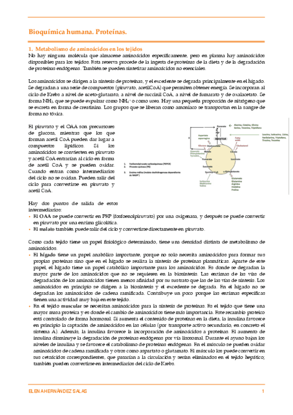 Miniatura del documento Proteínas plasmáticas.pdf