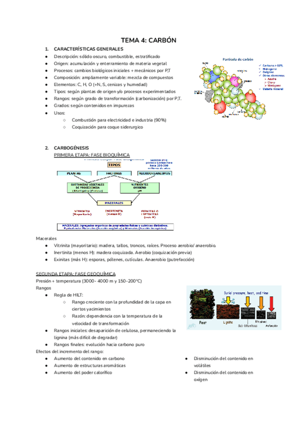 Miniatura del documento TEMA-4-CARBON.pdf