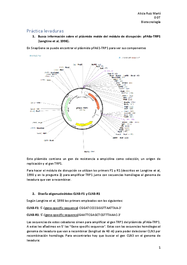 Miniatura del documento Cuestiones-Levaduras.pdf