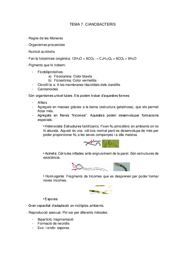 Miniatura del documento Apunts-botanica-temes-7-13.pdf