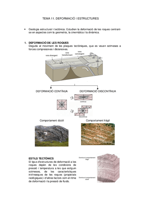 Miniatura del documento Apunts-geologia-2.pdf
