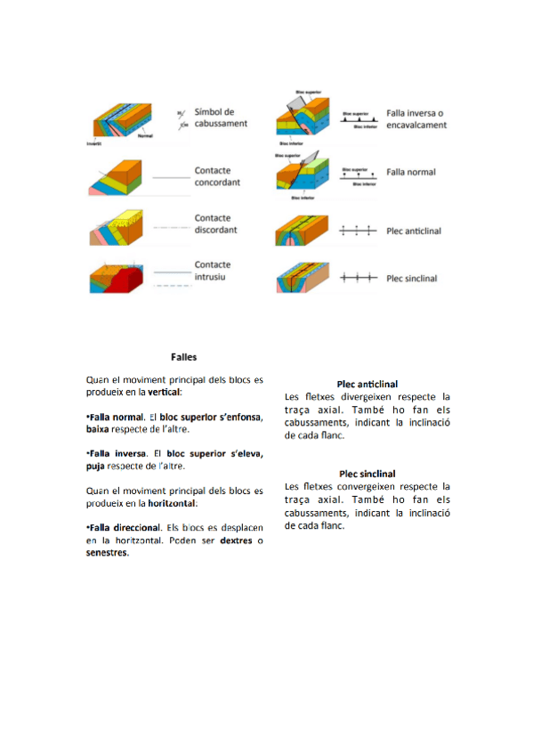 Miniatura del documento Resum-falles-i-plecs.pdf