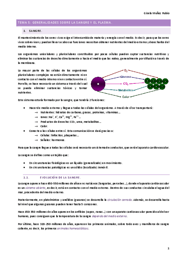 Miniatura del documento TEMA-5.pdf