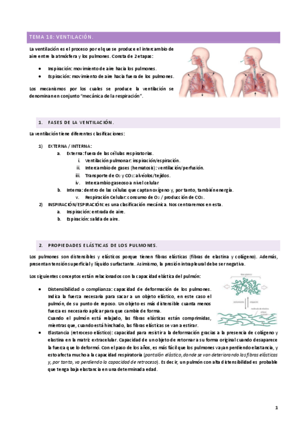 Miniatura del documento TEMA-18.pdf