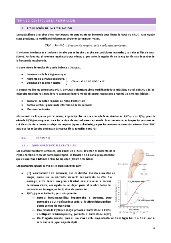 Miniatura del documento TEMA-20.pdf