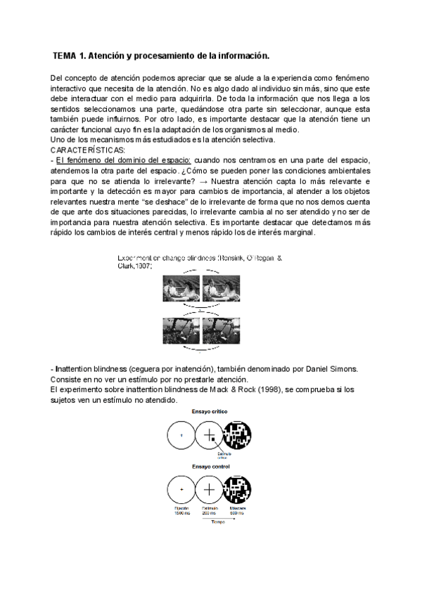 Miniatura del documento Atencion-apuntes.pdf