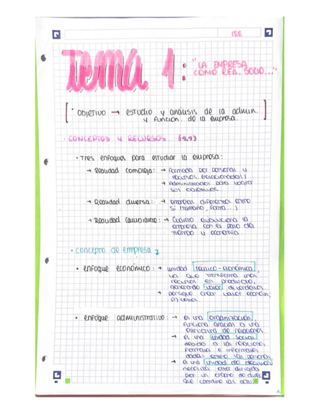 Miniatura del documento TEMA-1-IEE-RESUMEN.pdf