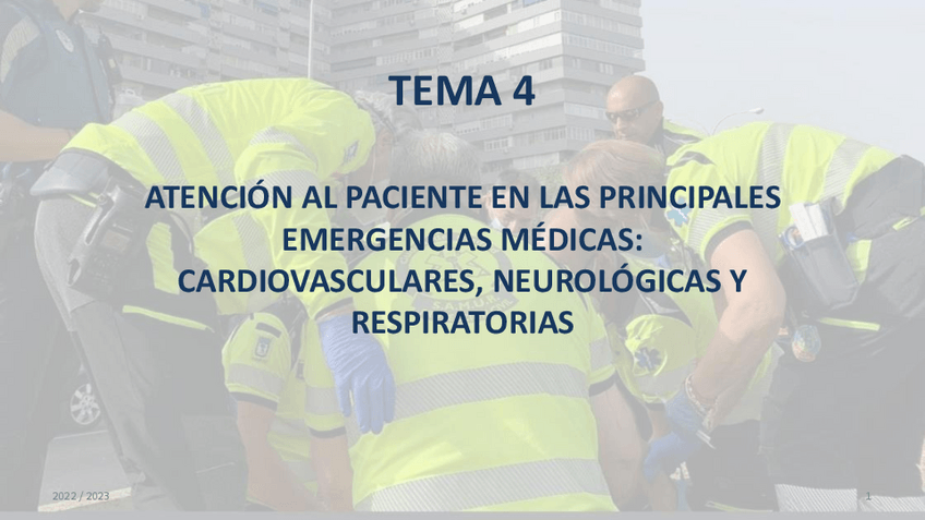 Miniatura del documento Presentacion-Tema-4.2-Urg-2022.pdf