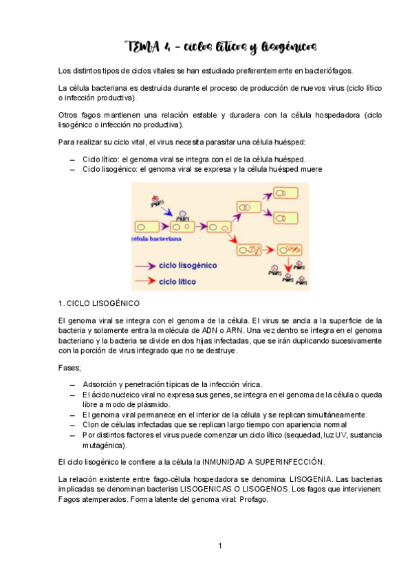 Miniatura del documento TEMA-4-VIROLOGIA.pdf