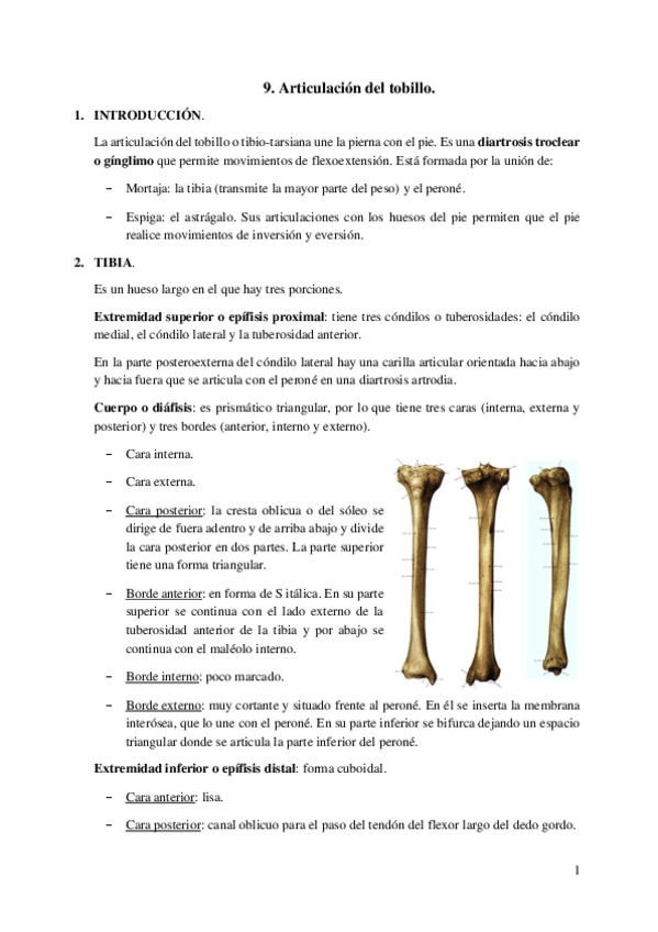 Miniatura del documento 9.-Articulacion-del-tobillo.pdf