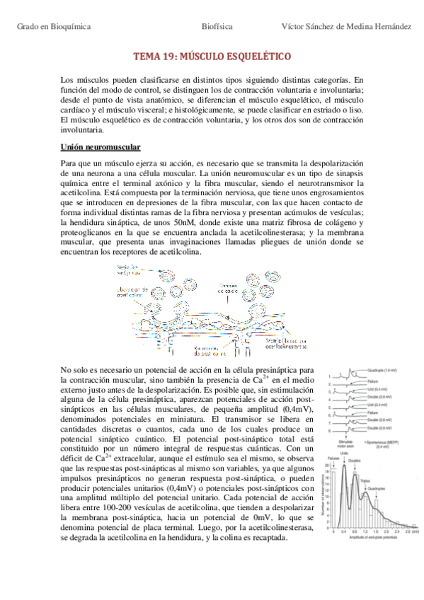 Miniatura del documento Bloque VI. Músculo.pdf