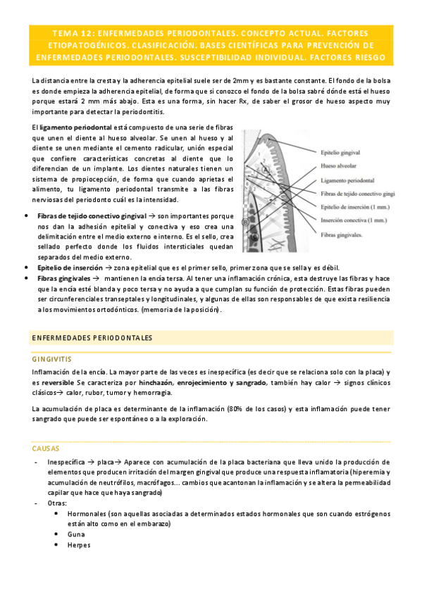 Miniatura del documento Preventiva-Tema-12.pdf
