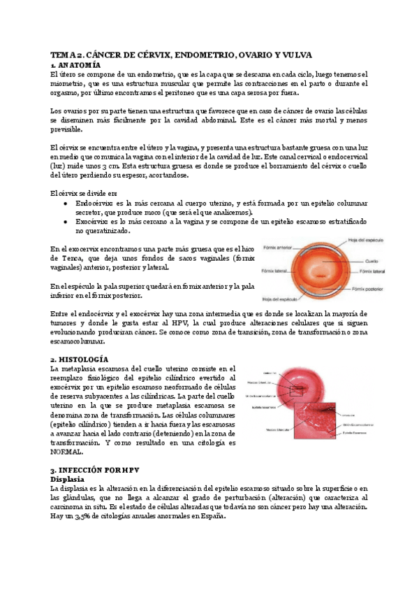 Miniatura del documento TEMA-2.-CANCER-DE-CERVIX-ENDOMETRIO-OVARIO-Y-VULVA.pdf