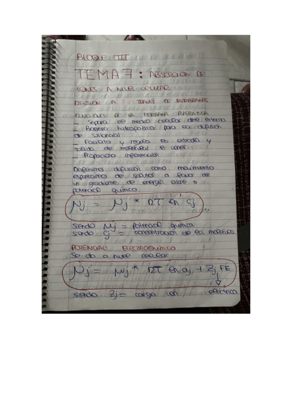 Miniatura del documento TEMA-7.pdf