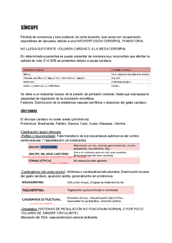 Miniatura del documento SINCOPE-RESUMEN.pdf