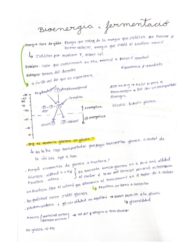 Miniatura del documento Bioenergia-i-fermentacio.pdf