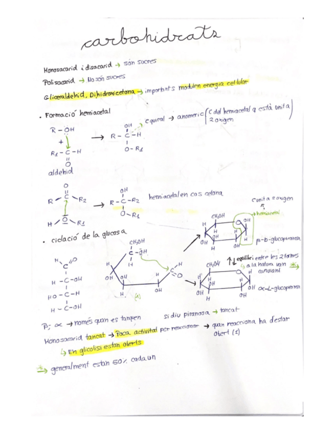 Miniatura del documento Carbohidrats.pdf