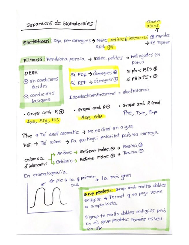 Miniatura del documento Resum.pdf