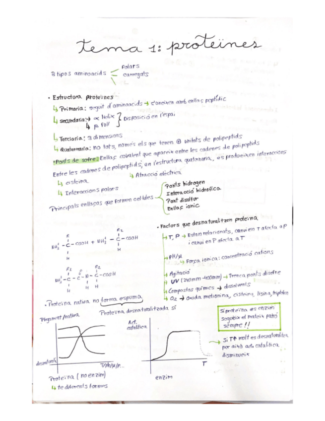 Miniatura del documento TEMA-1.pdf