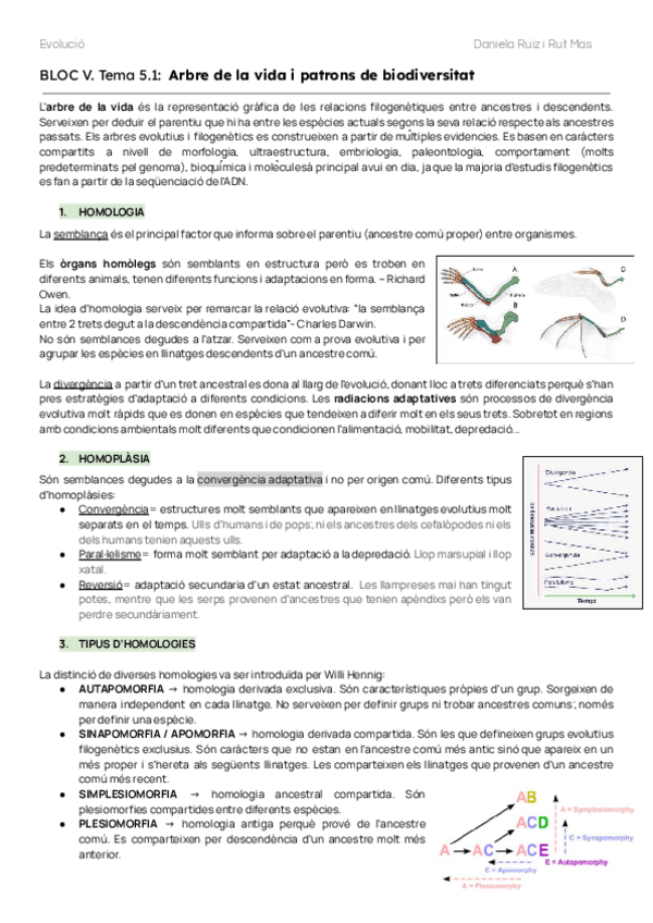 Miniatura del documento BLOC-V-EVOLUCIO.pdf