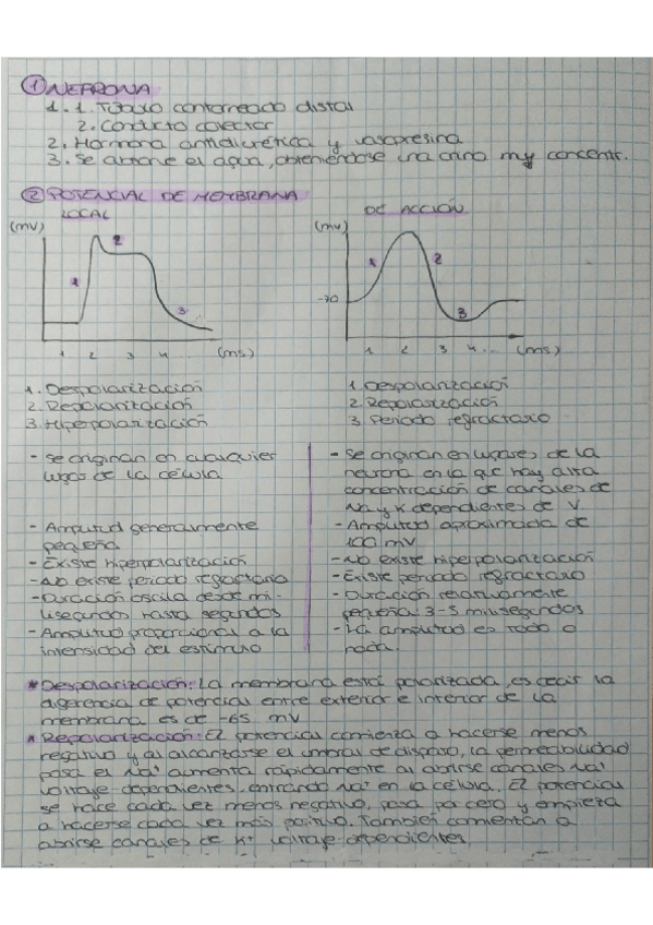 Miniatura del documento practica-fisiologia.pdf