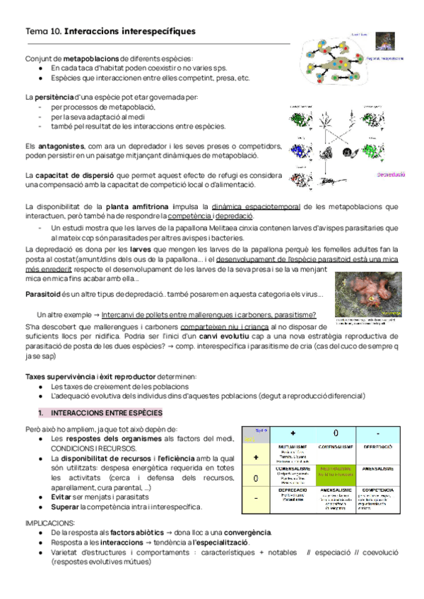 Miniatura del documento TEMAS-10-11-12.pdf