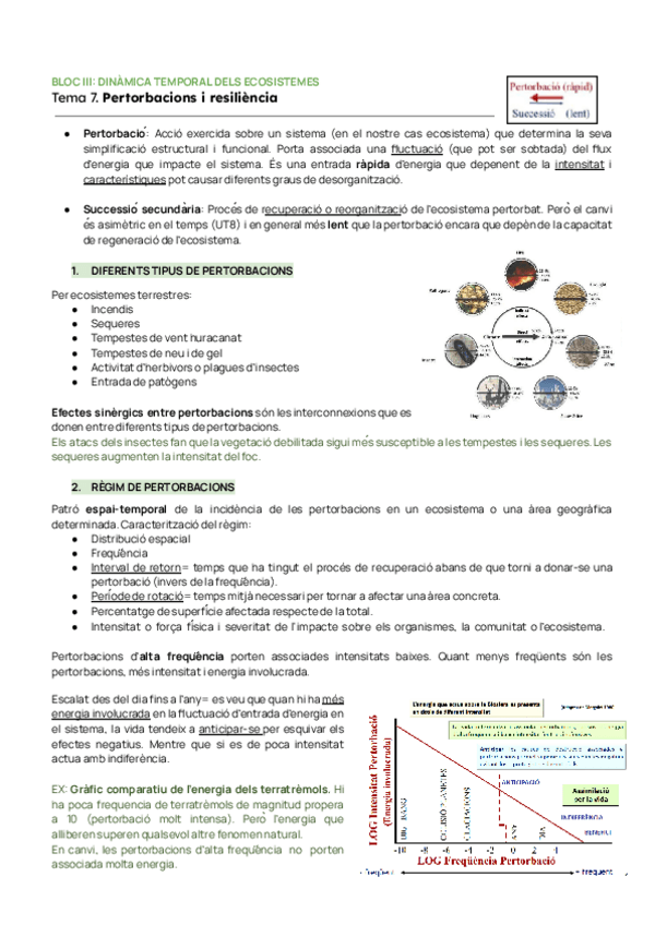 Miniatura del documento BLOC-III-ECO-MECO.pdf