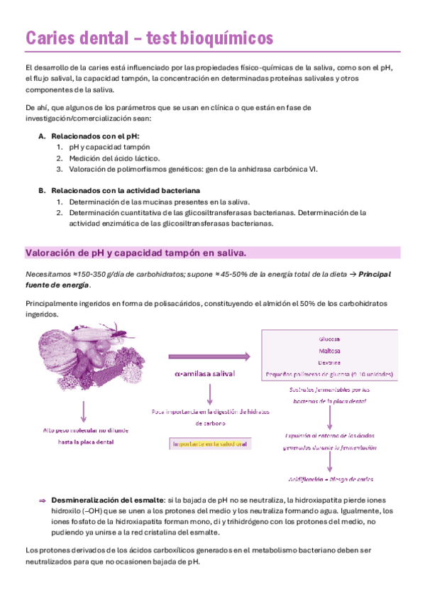 Miniatura del documento 8.-Caries-y-pruebas-bioquimicas.pdf