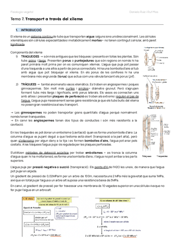 Miniatura del documento TEMAS-7-8-9-10-FISIO-VEG.pdf