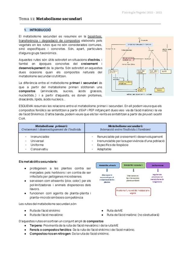 Miniatura del documento TEMAS-11-12-13-14-FISIO-VEG.pdf