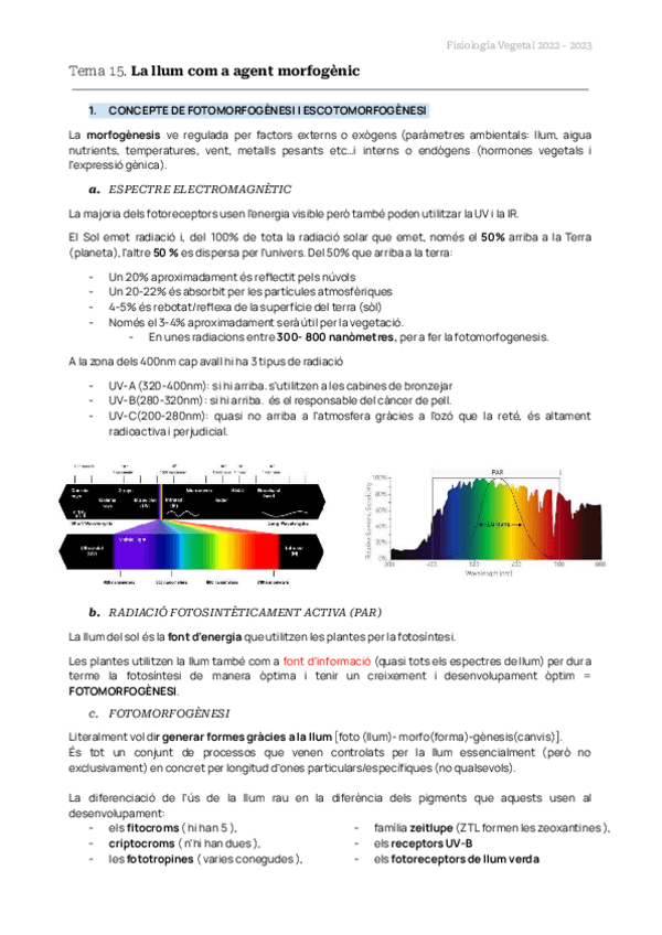 Miniatura del documento TEMAS-15-16-17-FISIO-VEG.pdf